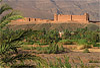 ville de ouarzazate